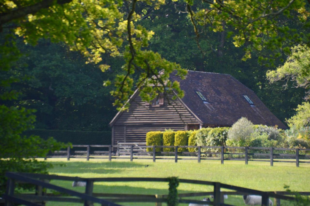 Appartamento The Hideaway-South Downs National Park Graffham Esterno foto