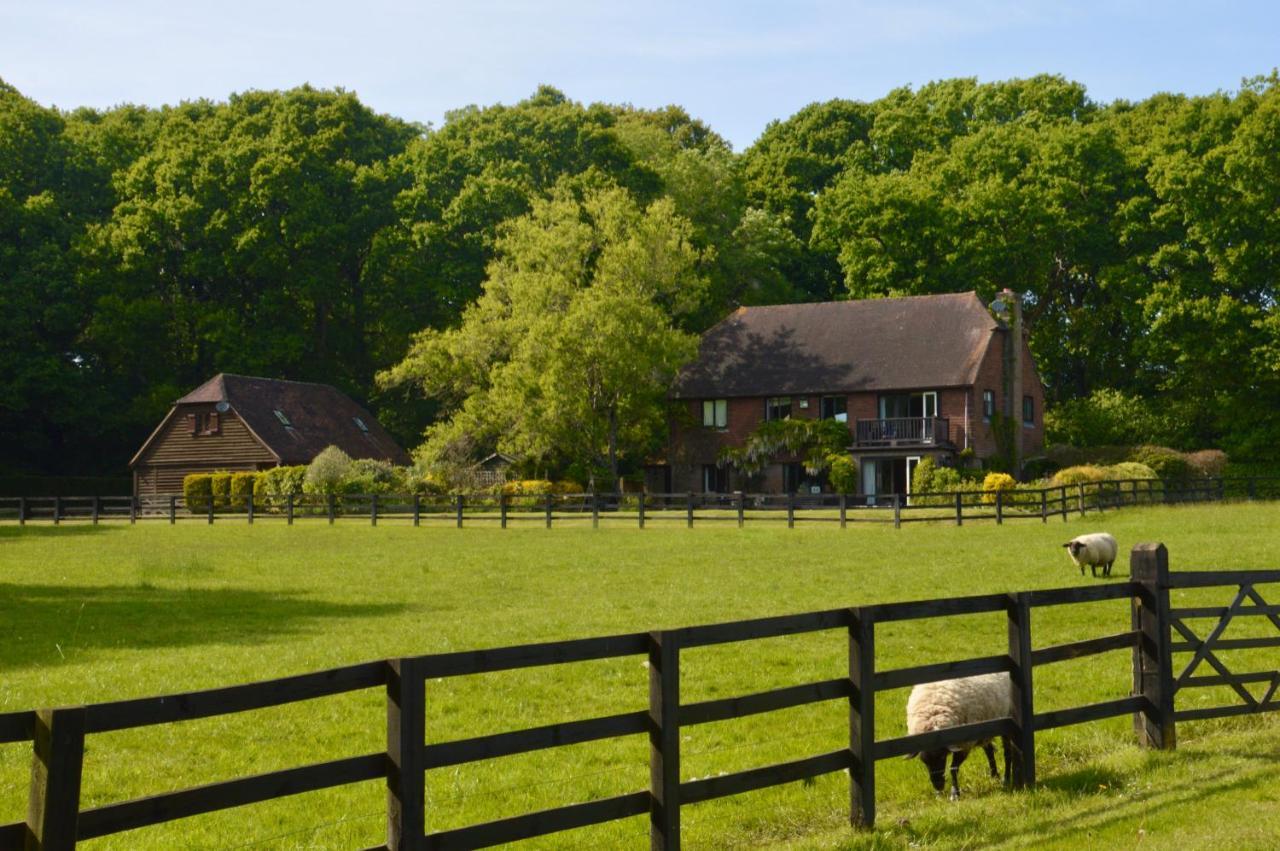 Appartamento The Hideaway-South Downs National Park Graffham Esterno foto