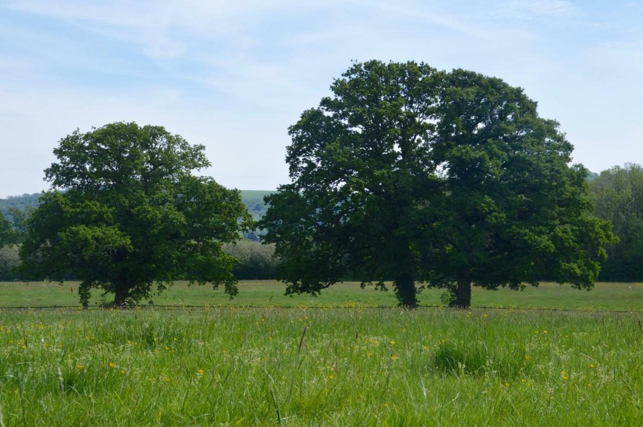 Appartamento The Hideaway-South Downs National Park Graffham Esterno foto